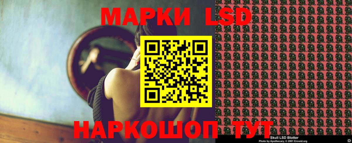 Галлюциногенные грибы Светлоград