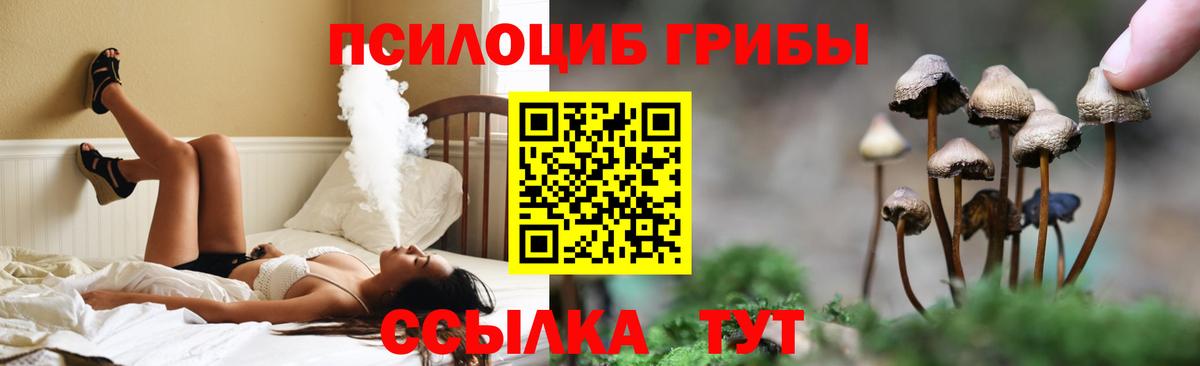 Светлоград  Псилоцибиновые грибы Cubensis  Вход с VPN 